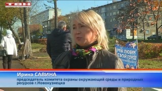 На Дружбе стало больше деревьев